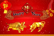 2009新年快乐图片下载