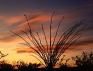 高清夕阳景色图片下载