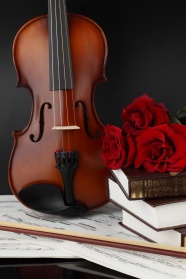 优雅小提琴图片下载