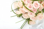 白玫瑰花束图片下载