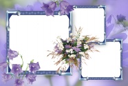 紫色喇叭花相框图片