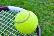 网球高清图片下载