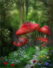 红色蘑菇树图片