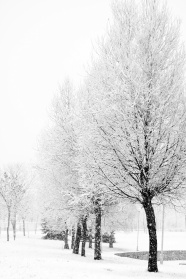 冬天下雪风景图片