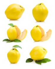 黄色新鲜桃子图片