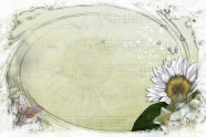 淡雅怀旧花框图片