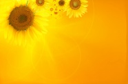 黄色向日葵背景图片