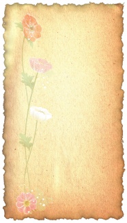 怀旧纸张花卉背景图片