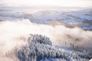 冬季森林雪景图片