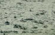 下雨天雨水图片