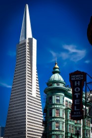 旧金山泛美大厦图片
