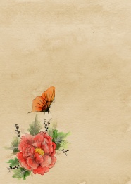 古典花卉背景图片