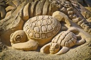 乌龟沙雕图片