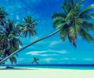 热带海边风景图片