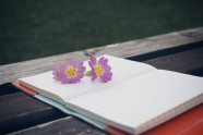空白记事本和紫色花图片