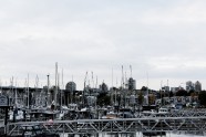 城市港口图片