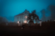 迷雾别墅图片
