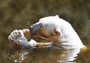 北极熊水彩画图片