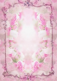 粉色玫瑰背景花框图片
