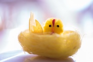 黄色雏鸡手工图片