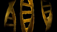 DNA生物学研究图片