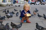 喂食鸽子的女童图片