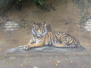 墙壁绘画老虎图片