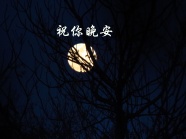 月亮晚安好梦文字图