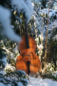 雪地上小提琴图片
