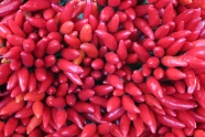 红色辣椒背景图片
