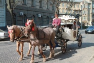 乌克兰传统马车图片