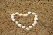 沙滩上贝壳摆放爱心图片
