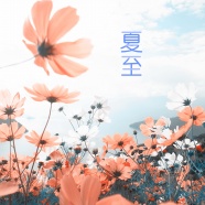 二十四节气夏至图片