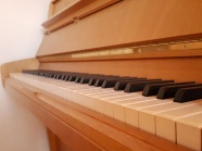 木钢琴图片