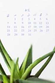十月日历竖图