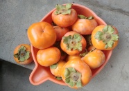 成熟甜柿子图片