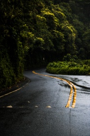 雨后柏油马路图片