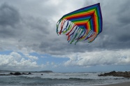 海面上高飞的风筝图片