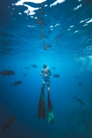 高清海底潜水图片