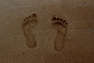 海边沙子脚印图片