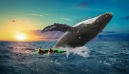 跃出海面大鲸鱼图片
