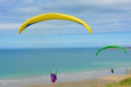 海边滑翔伞降落图片