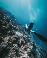 海底体验潜水图片
