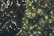 圣诞树发光图片