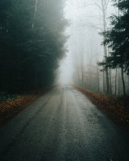 浓雾公路风景图片