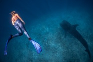 美女深海潜水图片