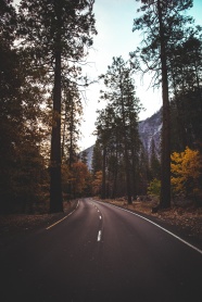 风景柏油路图片