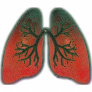 关注肺部健康卡通图片
