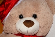泰迪熊玩具局部图片
