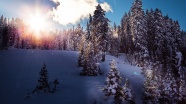 冬季清晨雪山景观图片